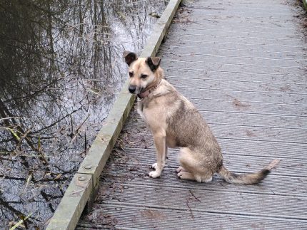 Lena